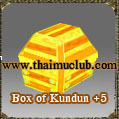Box of Kundun +5